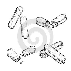 Savoiardi buscuit in sketch style set. Hand drawn Italian dessert tiramisu ingredient collection. Traditional Italian sweets.