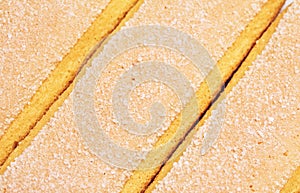 Savoiardi Cookie