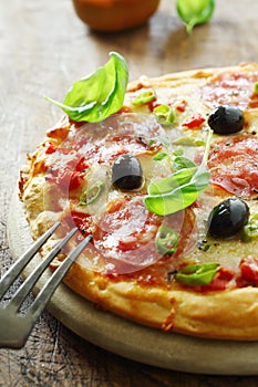 Savoury Italian salami pizza