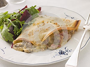 Savoury Pancake filled with Ham Cheese