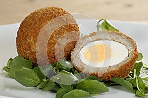 Savoury scotch egg