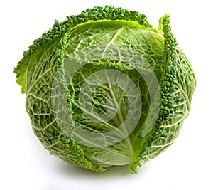 Savoy Cabbage photo