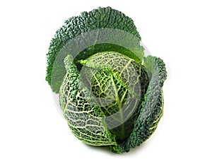 Savoy Cabbage