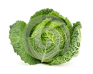 Savoy cabbage