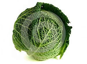 Savoy cabbage