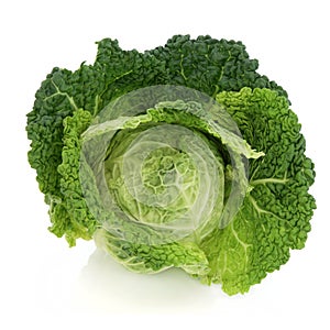 Savoy Cabbage