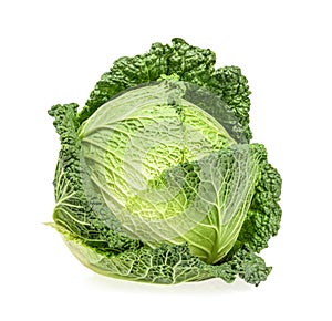 Savoy cabbage isolated on white background