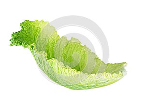Savoy cabbage leaves on white background