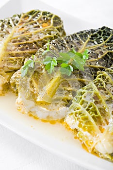 Savoy cabbage rolls on white dish.