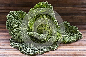 Savoy cabbage photo