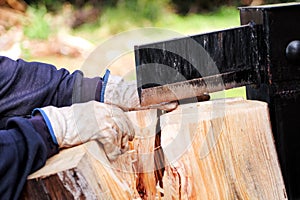 Saw cutting wood for winter. A man cutting firewood for the winter using a modern machine lumber saw.