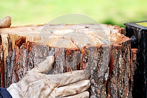 Saw cutting wood for winter. A man cutting firewood for the winter using a modern machine lumber saw.