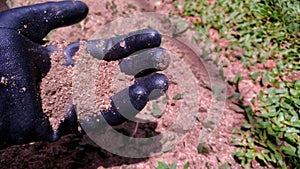 Saw dust on a grass field