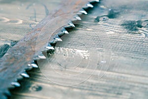 Saw prongs old and rusty close-up on wooden background