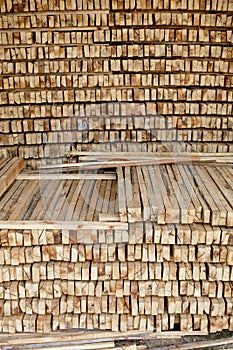 Saw timber prepared for winter heating season