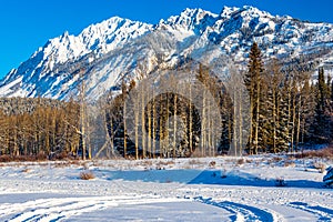 Sawback Range against a brilliant blue sky. Banff National Park Alberta Canada