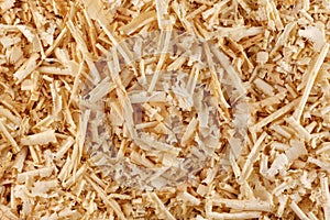 Sawdust