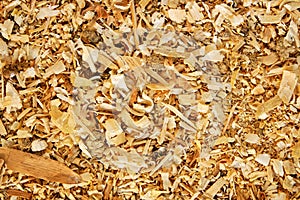 Sawdust animal bedding (Texture)