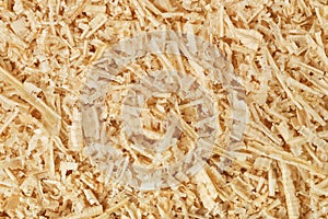 Sawdust photo