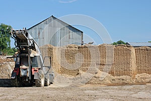 Sawdust-biomass photo