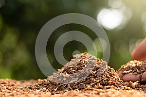 Sawdust or bulk wood waste.