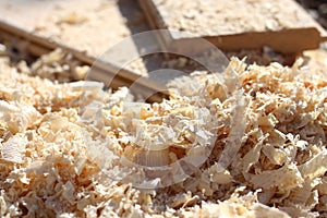 Sawdust and light wood shavings close-up the carpentry workshop after sawn timber processing