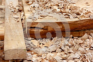 Sawdust and light wood shavings close-up in the carpentry workshop after sawn timber processing