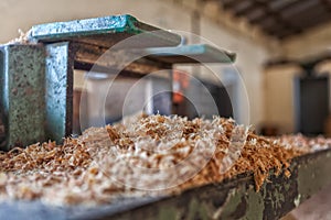 Sawdust resulting from the cutting of wood.