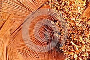 Sawdust on wood photo