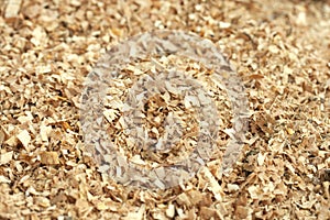 Sawdust wood photo