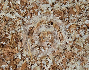 Sawdust or wood dust texture background