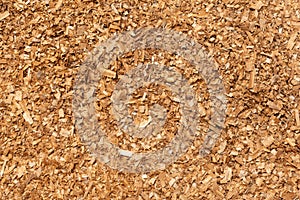 Sawdust or wood dust texture background. Wood sawdust background closeup. Sawdust floor texture. Top view. Saw dust texture, close