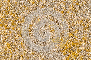 Sawdust on a wooden board, texture series