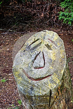 Sawed off tree trunk with smiling face