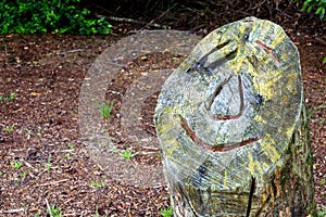 Sawed off tree trunk with smiling face