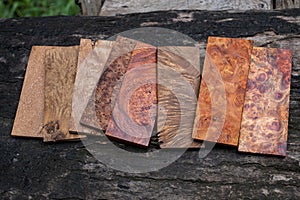 Sawed timber burl wood