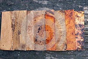 Sawed timber burl wood