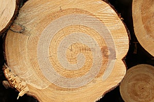 Sawed wood closeup in warm colors.
