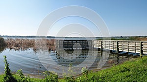Sawgrass lake panorama photo