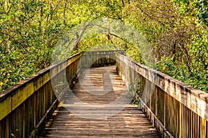 Sawgrass Lake Park