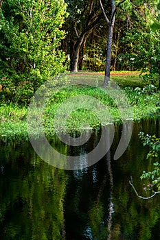 Sawgrass Lake Park