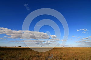 Sawgrass plains in Everglades National Park, Florida. photo