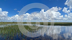 Sawgrass Recreation Park at The Everglades National Park in Fort Lauderdale Florida