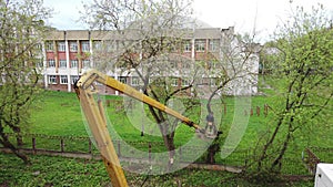 Sawing down tree crowns with a crane and chainsaw time laps