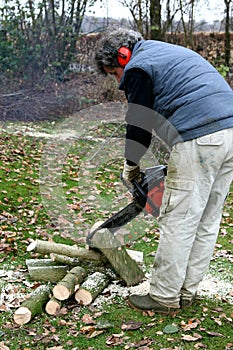 Sawing firewood with a chainsaw