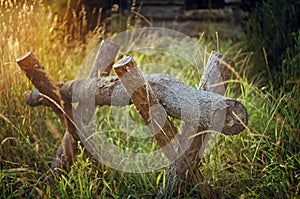 Sawing wood. Rural landscape on a background of green grass in the rays of the setting sun