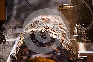 Sawmill Cutting Log