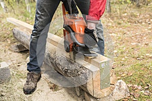 Sawmill- work with chainsaw and cutting wooden log from pine for log house