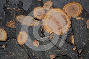 Sawn apricot firewood close-up.