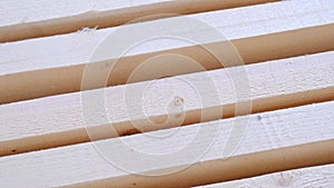 Sawn boards lie on the floor parallel to each other for drying. Preparation for the installation of an eco-friendly wooden floor i